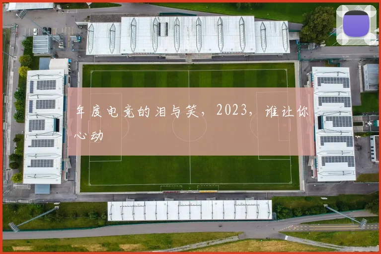 年度电竞的泪与笑，2023，谁让你心动